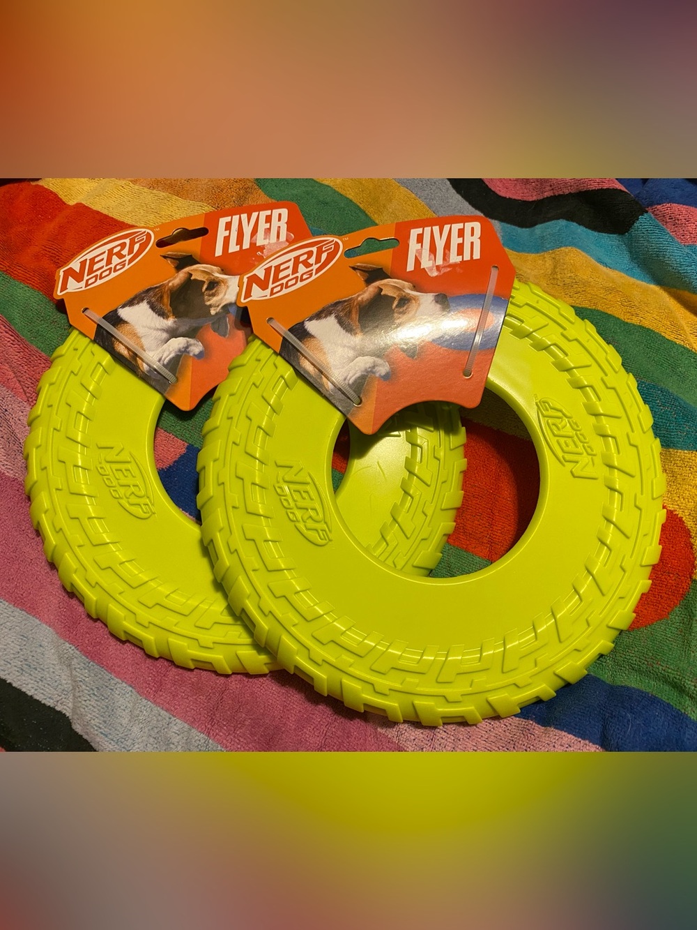 Set of 2 NERF DOG Atomic Flyer Dog Toy, Frisbee, Large 10" Diameter Neon Color